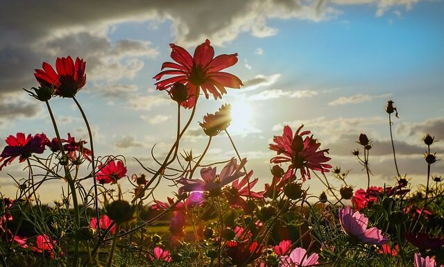 Co to znaczy kompozyty? Co to znaczy kompozyty?