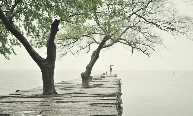 Jaką grubość płyty GK na sufit? Jaką grubość płyty GK na sufit?