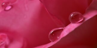 Jak obniżyć wilgotność powietrza w domu? Jak obniżyć wilgotność powietrza w domu?