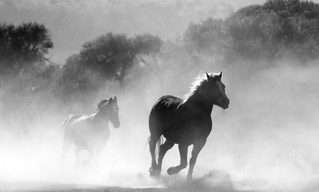 Czy można palić płyta MDF?