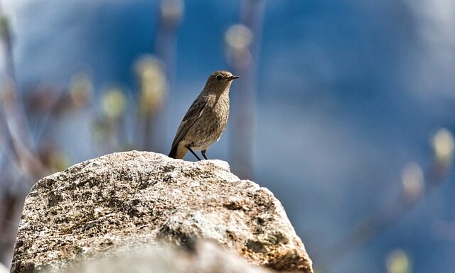 Czego nie lubi pleśń?