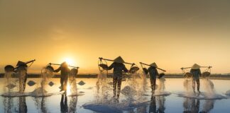 Czy sól wchłania wilgoć? Czy sól wchłania wilgoć?