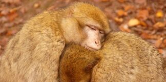 Jak grzać wodę za darmo? Jak grzać wodę za darmo?