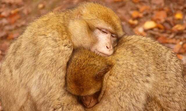 Jak grzać wodę za darmo?