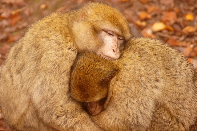 Jak grzać wodę za darmo? Jak grzać wodę za darmo?