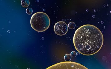 Ile kosztuje wymiana oleju w Citroenie C4?