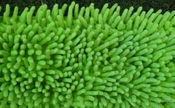 Czy do mopa parowego można dodać detergenty?