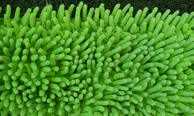 Czy do mopa parowego można dodać detergenty?