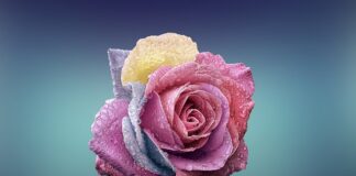 Gdzie znajduje się fabryka Bugatti?