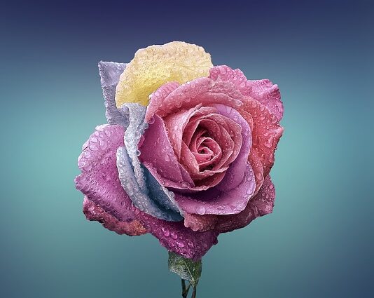 Gdzie znajduje się fabryka Bugatti?