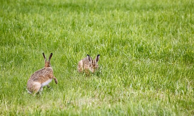 Jak sprawdzić lampę solarną?