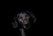 Czy hybryda w zimę pali więcej? Czy hybryda w zimę pali więcej?