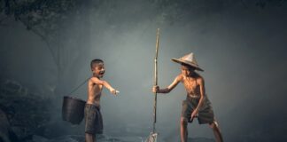 Co zrobić z rybami z oczka na zimę? Co zrobić z rybami z oczka na zimę?