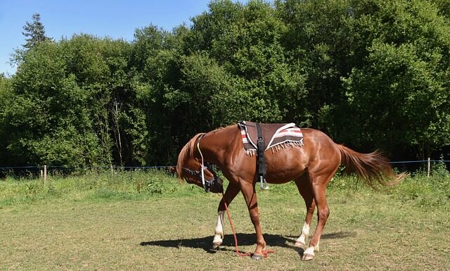 Jak zamontować płytę OSB na ścianie? Jak zamontować płytę OSB na ścianie?