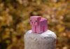 Co to znaczy Minecraft po polsku? Co to znaczy Minecraft po polsku?