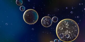 Co ile wymiana oleju w Citroenie C3? Co ile wymiana oleju w Citroenie C3?