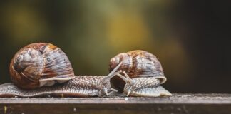 Jak sprawdzić który czujnik parkowania nie działa? Jak sprawdzić który czujnik parkowania nie działa?