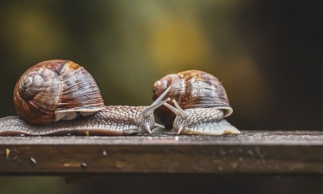 Jak sprawdzić który czujnik parkowania nie działa?