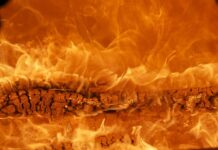 Jaka jest najlepsza marka samochodu?