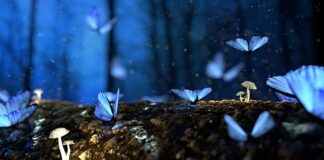 Jak położyć gładź na drewno? Jak położyć gładź na drewno?