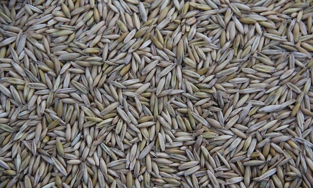 Gdzie jest produkowany Vauxhall? Gdzie jest produkowany Vauxhall?