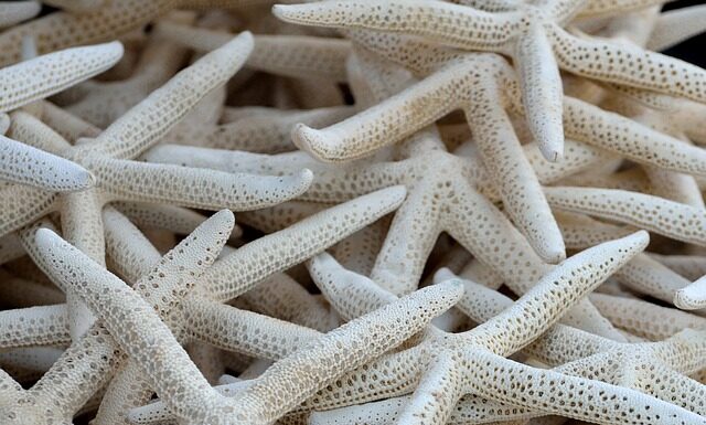 Jak podłączyć kolektor słoneczny do basenu? Jak podłączyć kolektor słoneczny do basenu?