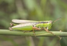 Co lepsze przepływowy podgrzewacz wody czy bojler? Co lepsze przepływowy podgrzewacz wody czy bojler?