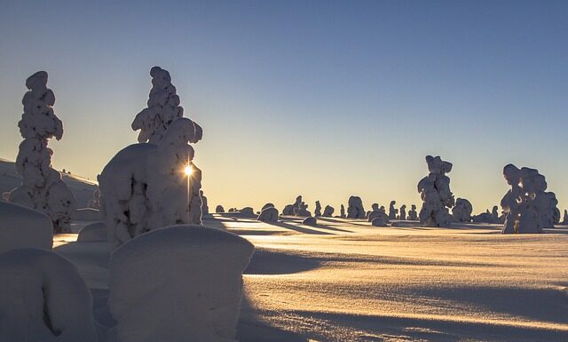 Jakie obciążenie wytrzyma płyta OSB? Jakie obciążenie wytrzyma płyta OSB?