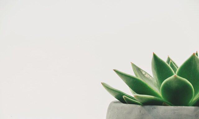 Jaką minimalną temperaturę może mieć Kurczak podawany gościom? Jaką minimalną temperaturę może mieć Kurczak podawany gościom?