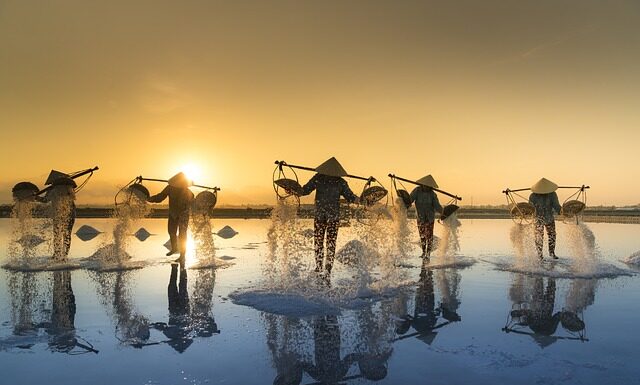 Jaka sól do pochłaniania wilgoci? Jaka sól do pochłaniania wilgoci?