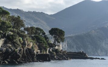 Ile kosztuje citroen c3 diesel?