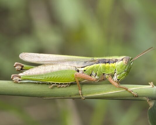 Jak podłączyć przepływowy ogrzewacz wody? Jak podłączyć przepływowy ogrzewacz wody?