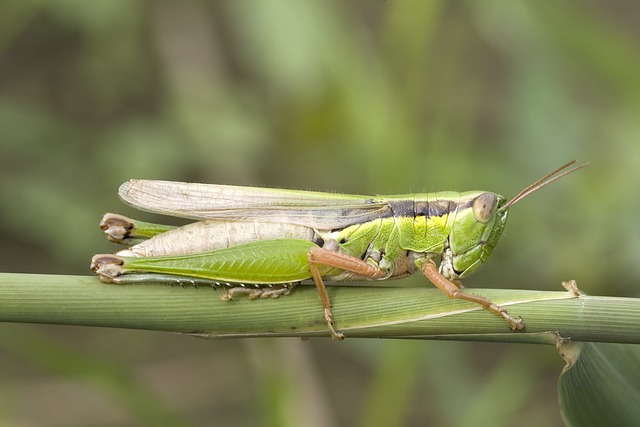 Jak podłączyć przepływowy ogrzewacz wody? Jak podłączyć przepływowy ogrzewacz wody?