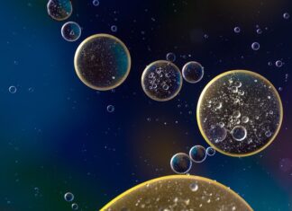 Co ile wymiana oleju Citroen C5?