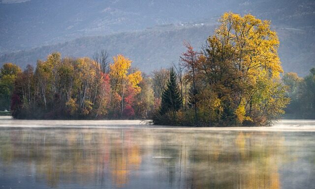 Jakiej firmy kupić gres? Jakiej firmy kupić gres?