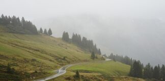 Jaki przebieg wytrzyma 2.0 HDi?