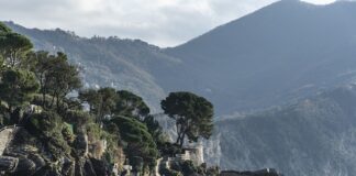 Ile kosztuje najtańszy samochód hybrydowy? Ile kosztuje najtańszy samochód hybrydowy?