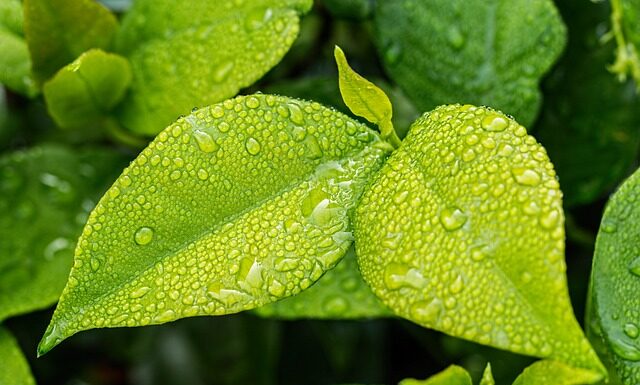 Dlaczego w domu wychodzi wilgoć? Dlaczego w domu wychodzi wilgoć?