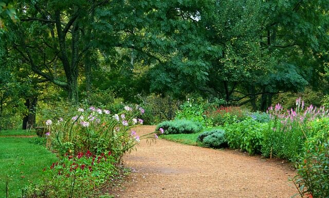 Czy żwirek silikonowy pochłania wilgoć? Czy żwirek silikonowy pochłania wilgoć?