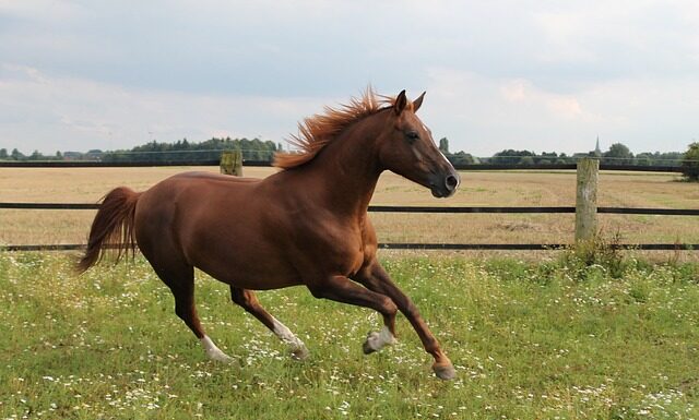 Jaki jest najszybszy McLaren na świecie? Jaki jest najszybszy McLaren na świecie?