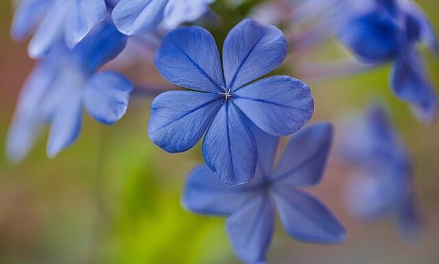 Co dać na stół żeby się nie Rysował?