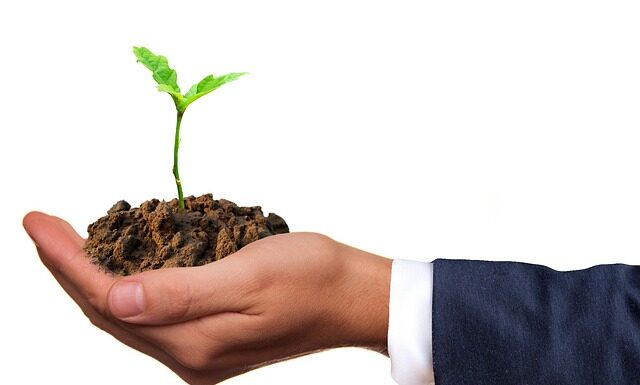 Z jakiej płyty dno szuflady? Z jakiej płyty dno szuflady?