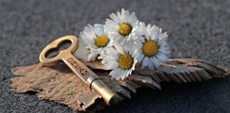 Jak otworzyć maskę w BMW e46? Jak otworzyć maskę w BMW e46?