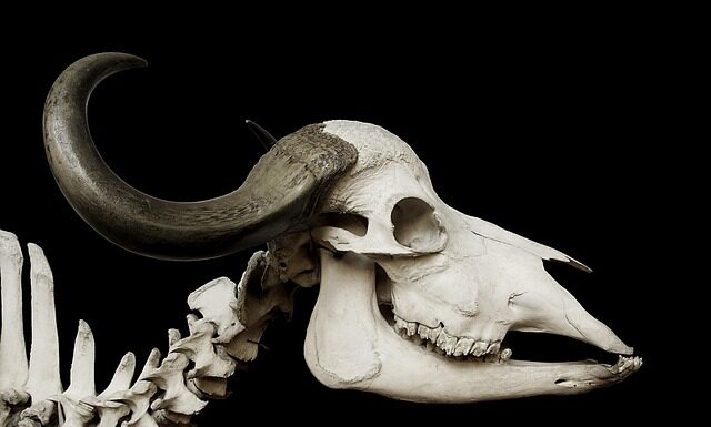 Jak grać w kości Wiedźmin 1? Jak grać w kości Wiedźmin 1?