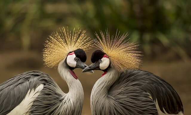 Jak się pierze filc? Jak się pierze filc?