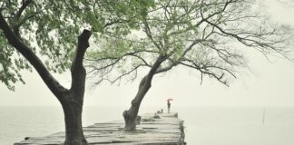 Czym przykręcać płyty gk? Czym przykręcać płyty gk?