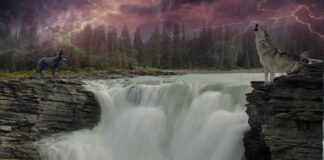 Jaki kordonek na serwetki? Jaki kordonek na serwetki?