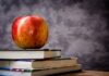 Czy DS to klasa premium?