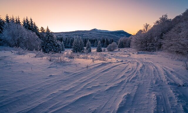 Ile kosztują opony całoroczne 16?