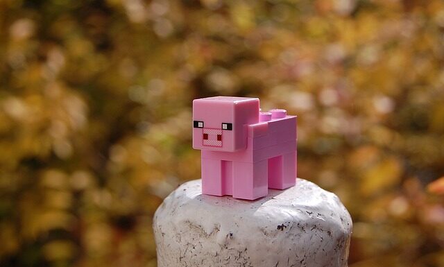 Jak sprawdzić gdzie jest wioska w minecraft? Jak sprawdzić gdzie jest wioska w minecraft?